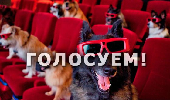 Кто самая знаменитая собака-актер?