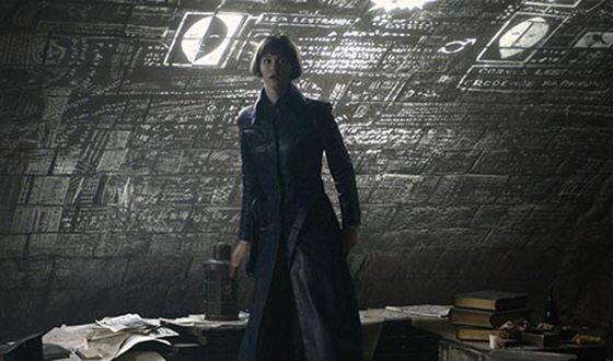 Кэтрин Уотерстон снялась в продолжении фильма «Фантастические твари» Кэтрин Уотерстон снялась в продолжении фильма «Фантастические твари»