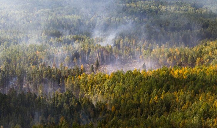 В Сибири увеличивается площадь лесных пожаров
