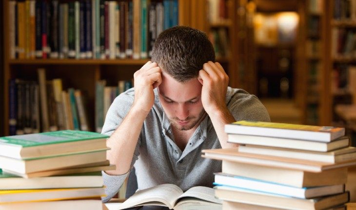 Как будет учиться Телец? Как будет учиться Телец?