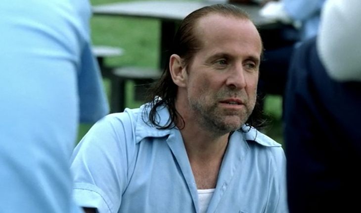 Петер Стормаре в сериале «Побег» Петер Стормаре в сериале «Побег»