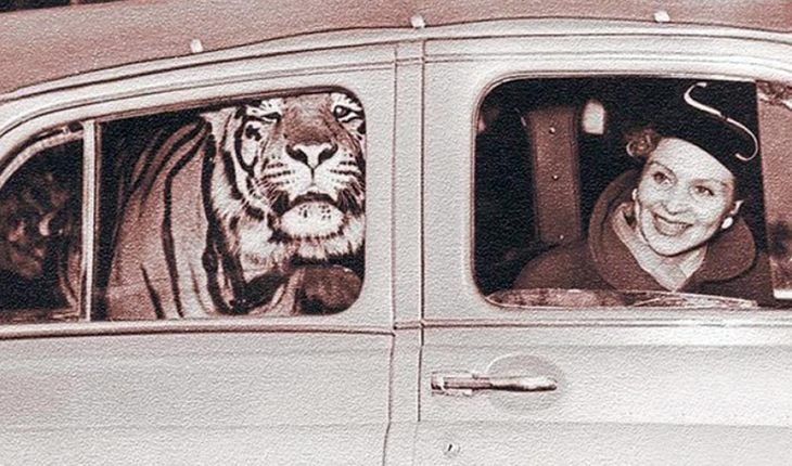 uzn 16313600789 биография маргариты назаровой дети