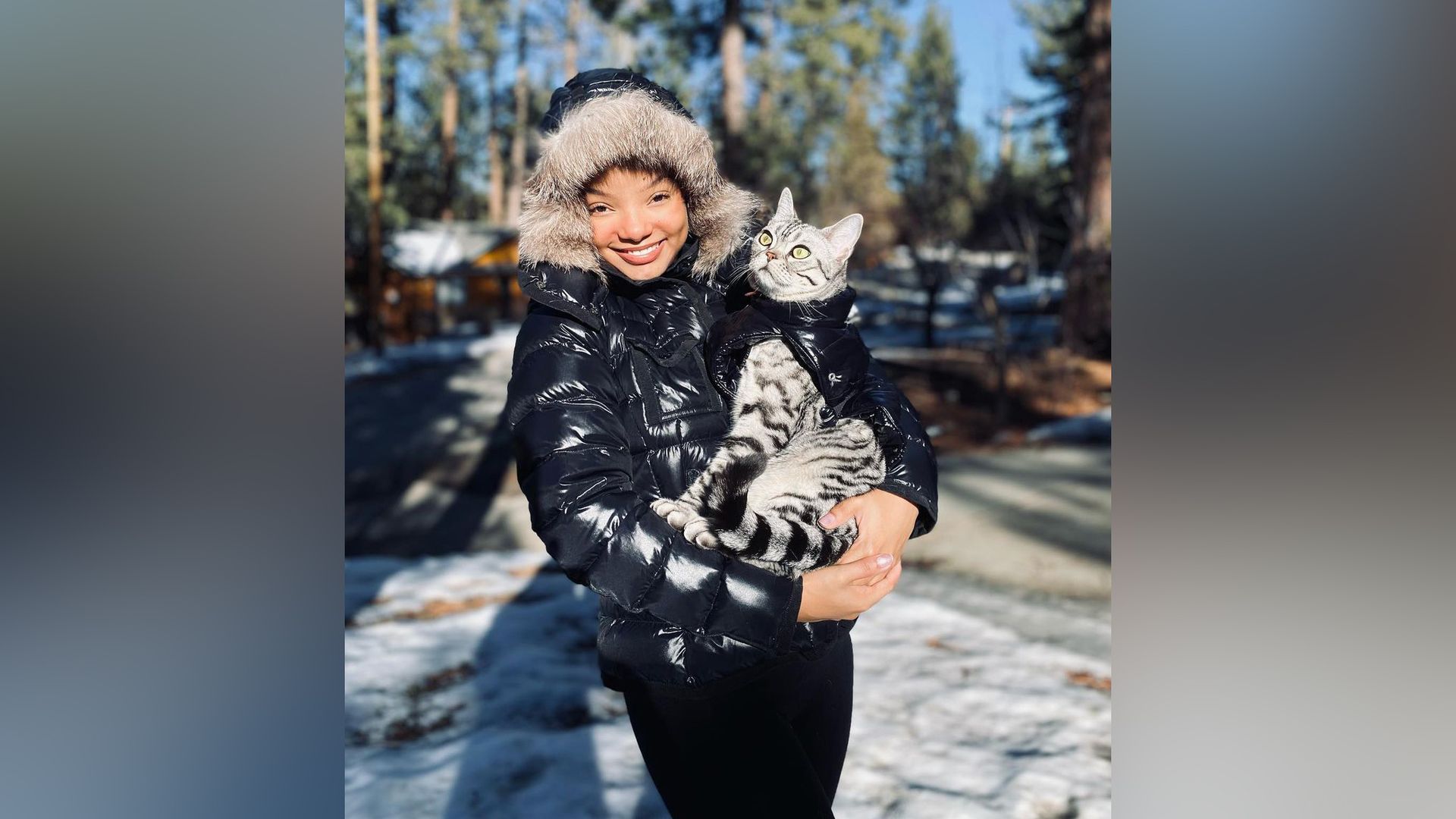 Холли Бэйли и её кот