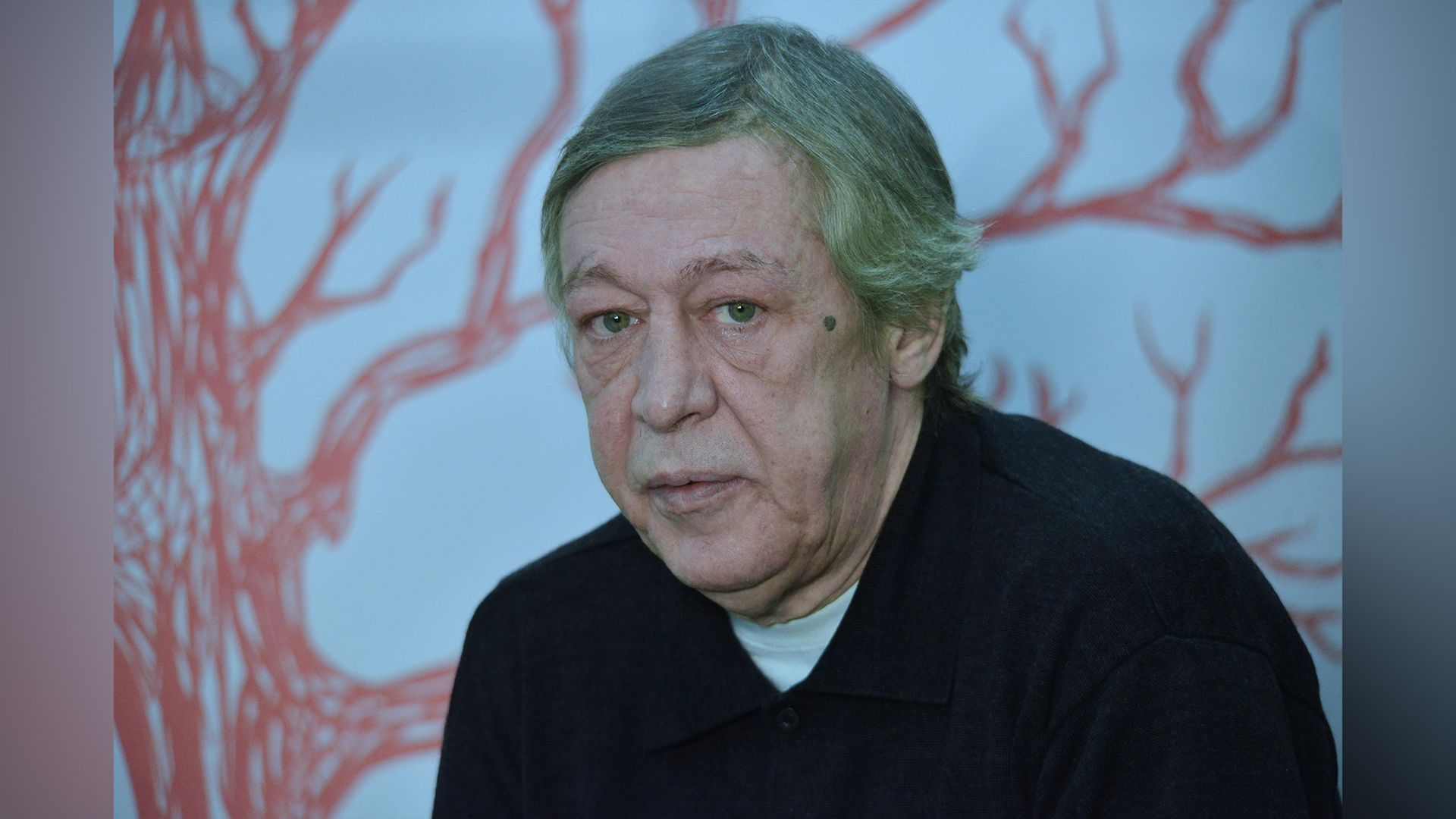 Актёр Михаил Ефремов