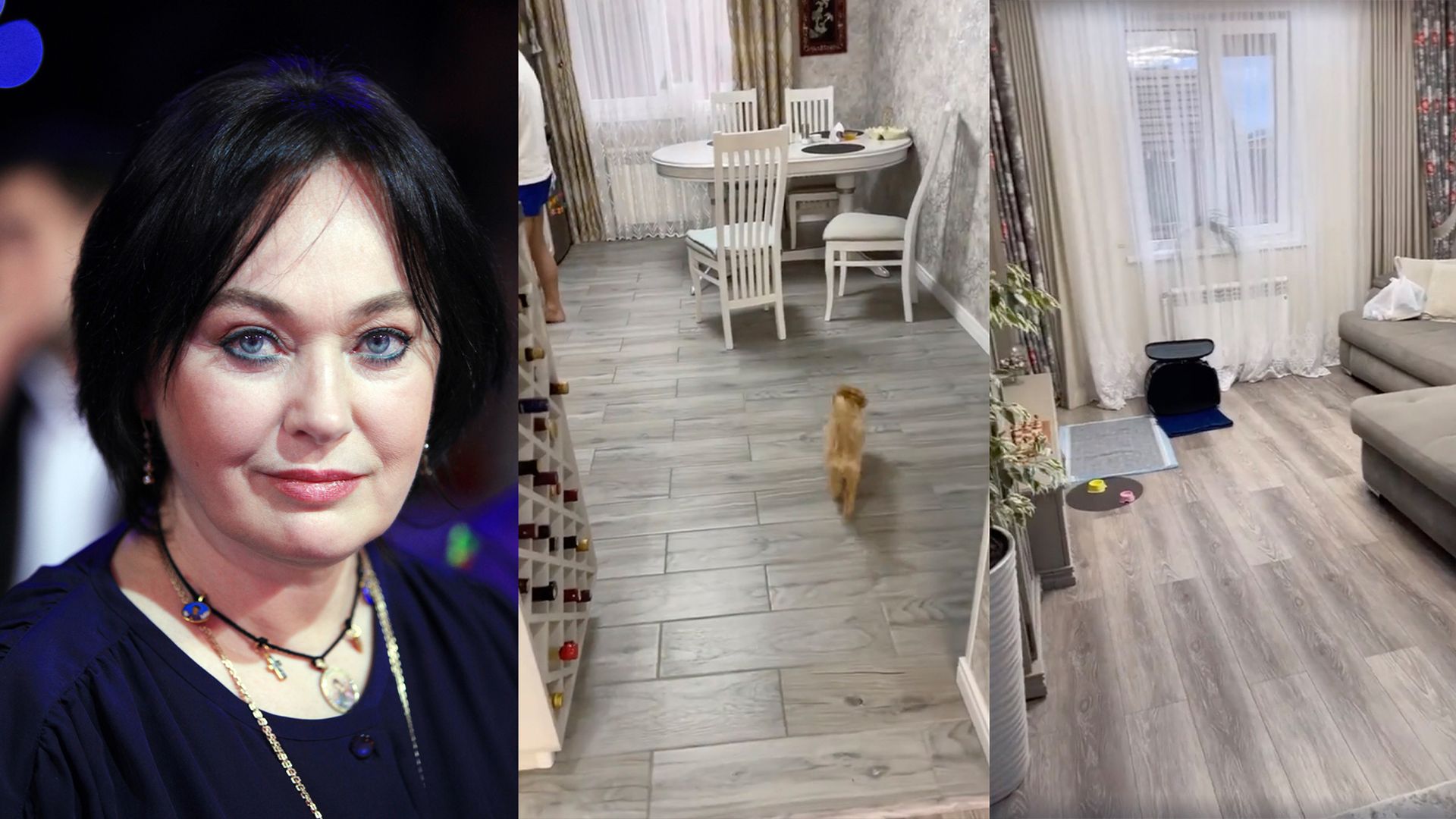 Лариса Гузеева и её дом детства в Оренбурге