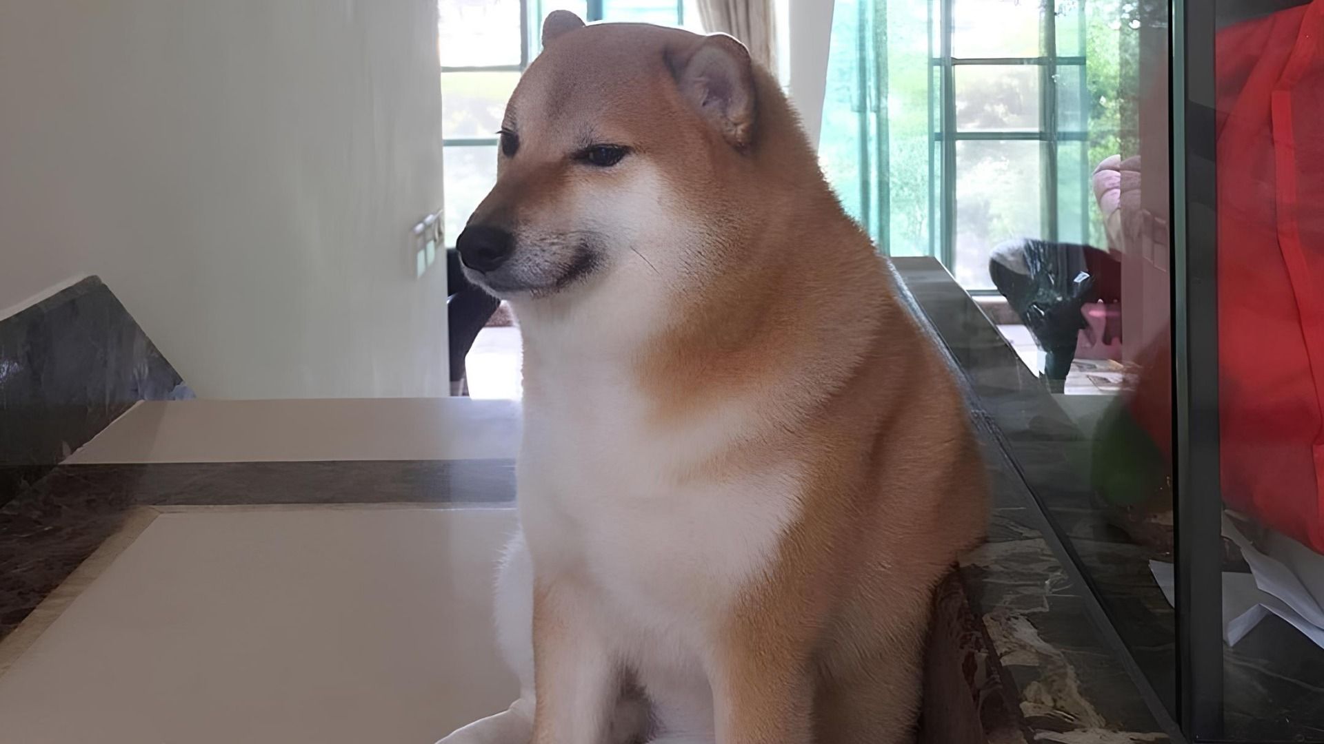 Болци