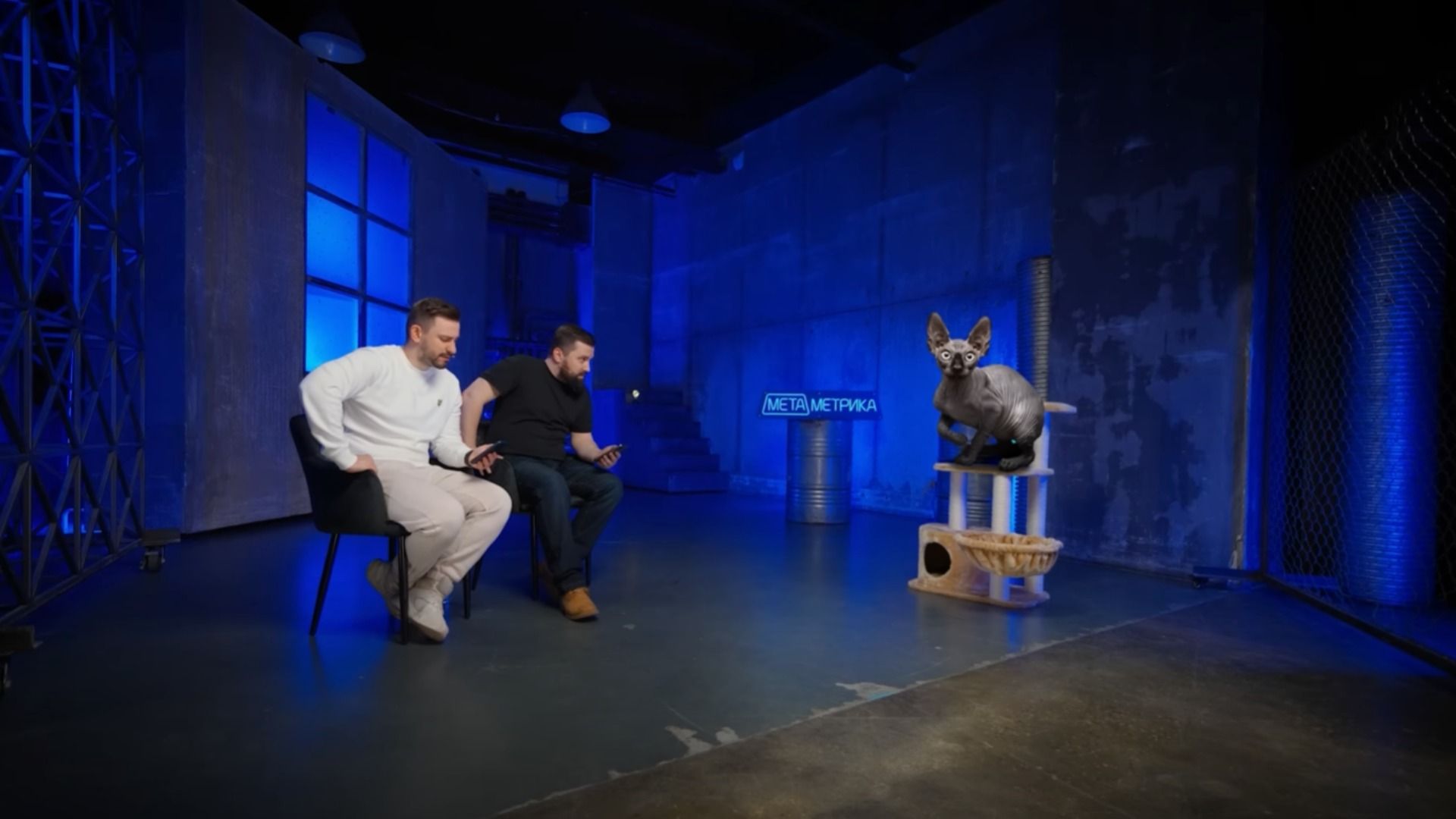 3D-визуализация блогера Кота Костяна на интервью