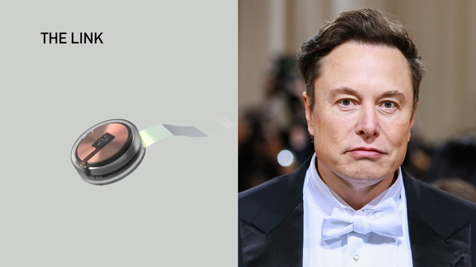 Чип Neuralink и Илон Маск