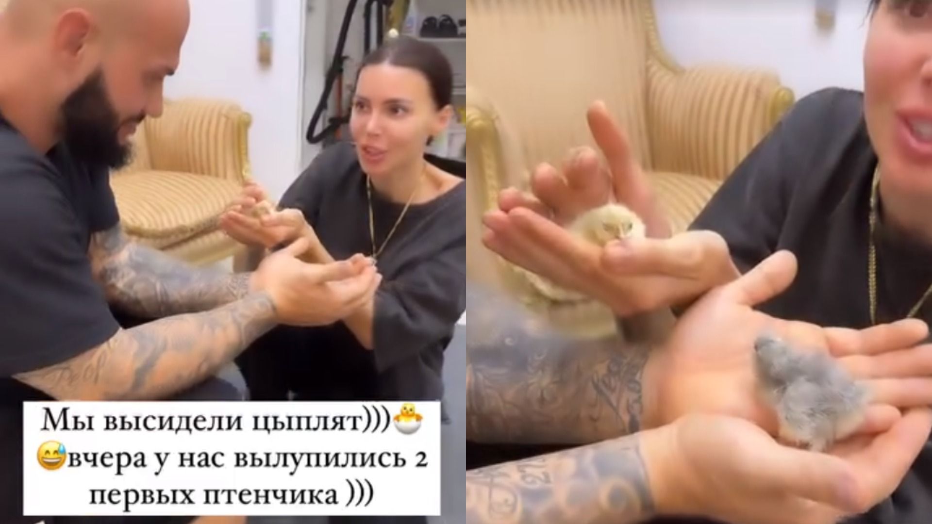 Джиган, Оксана Самойлова и их цыплята
