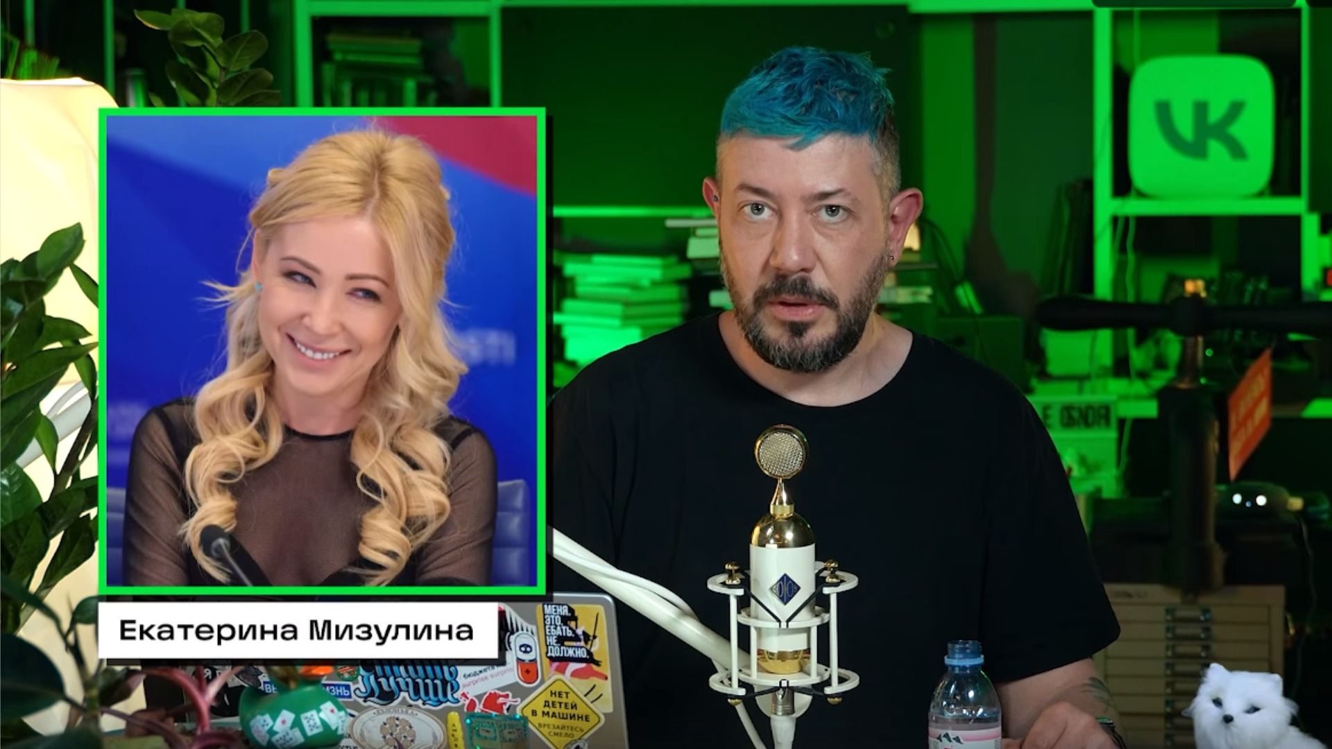 Артемий Лебедев в ролике про Екатерину Мизулину