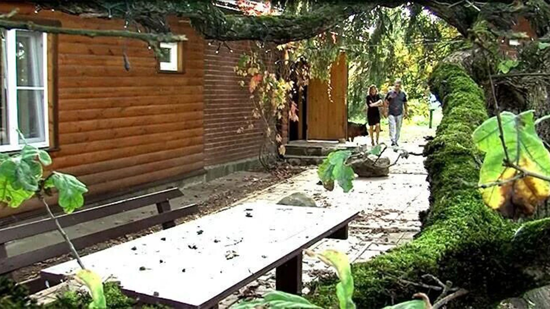 Дом Александра Мясникова