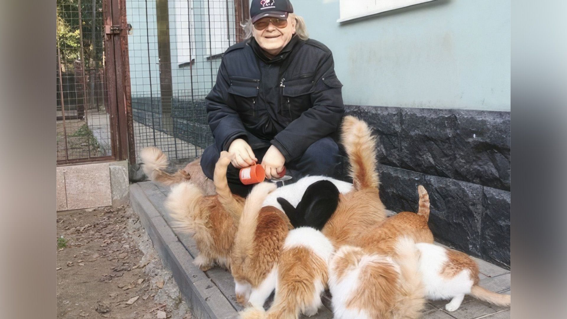 Юрий Антонов и его кошки