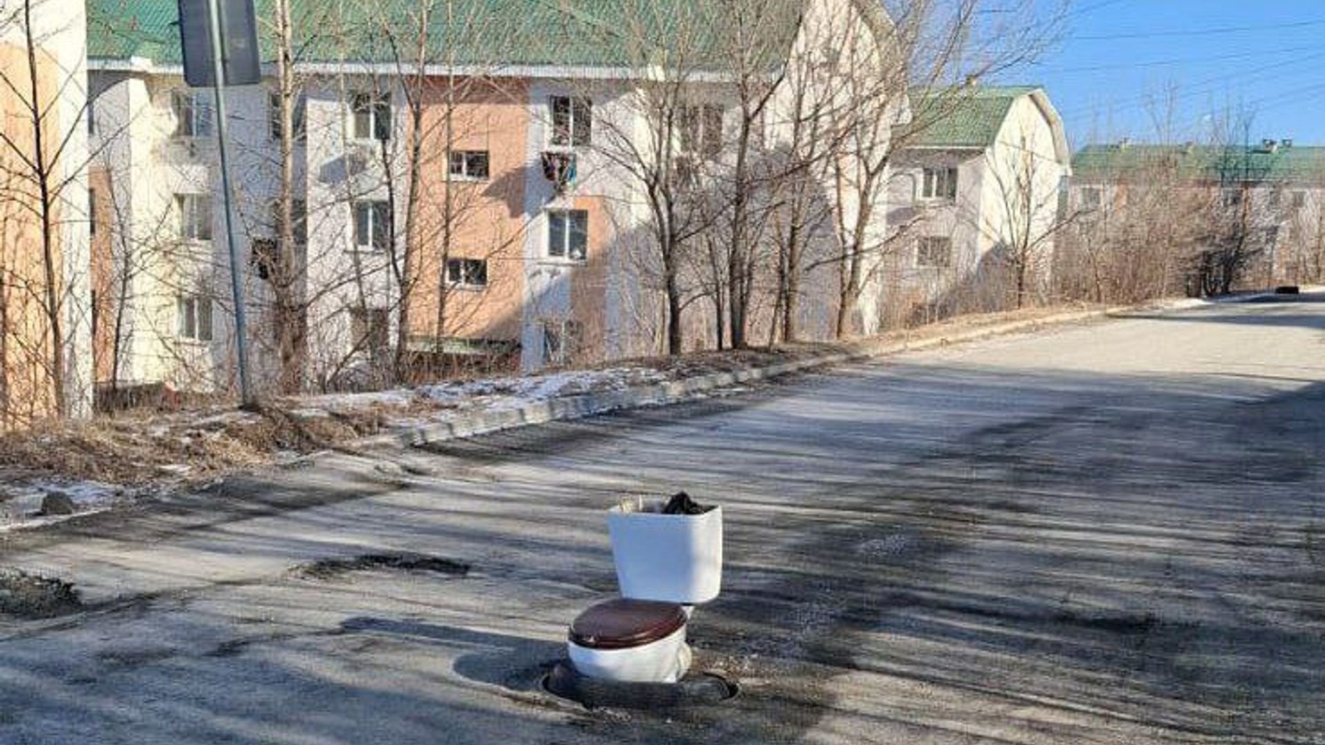 унитаз на дороге