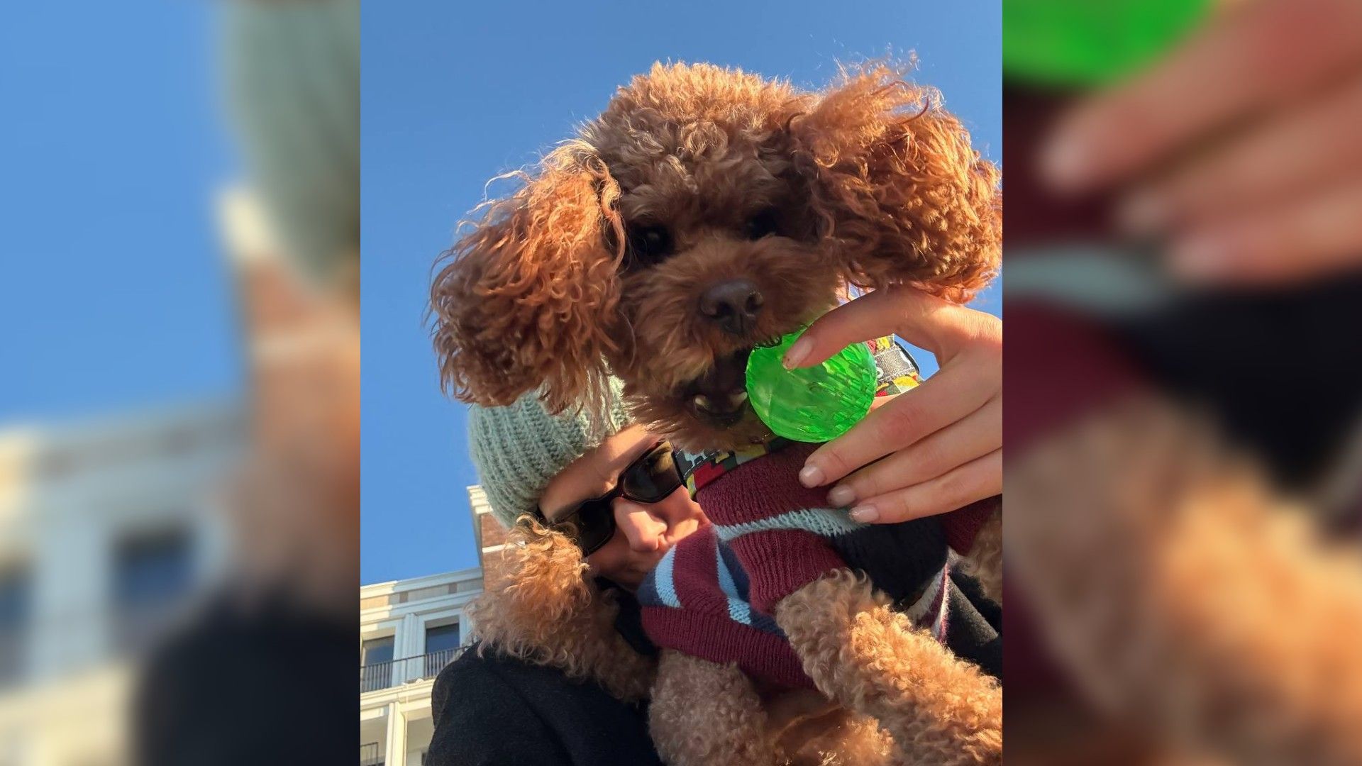 Владислава Ермолаева держит на руках собаку мальтипу