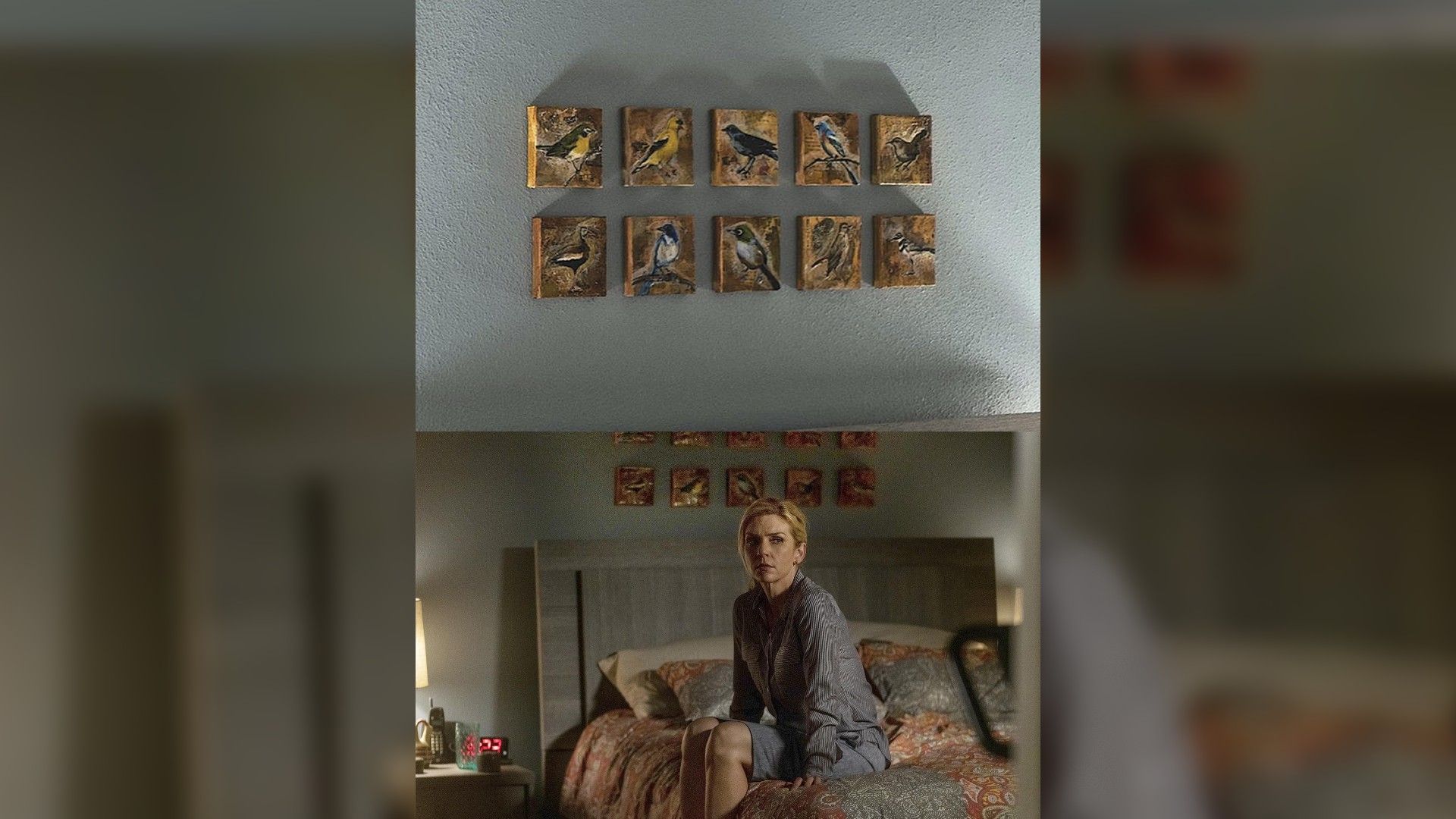 Рэй Сихорн сидит на кровати, сверху 8 маленьких картин с птицами