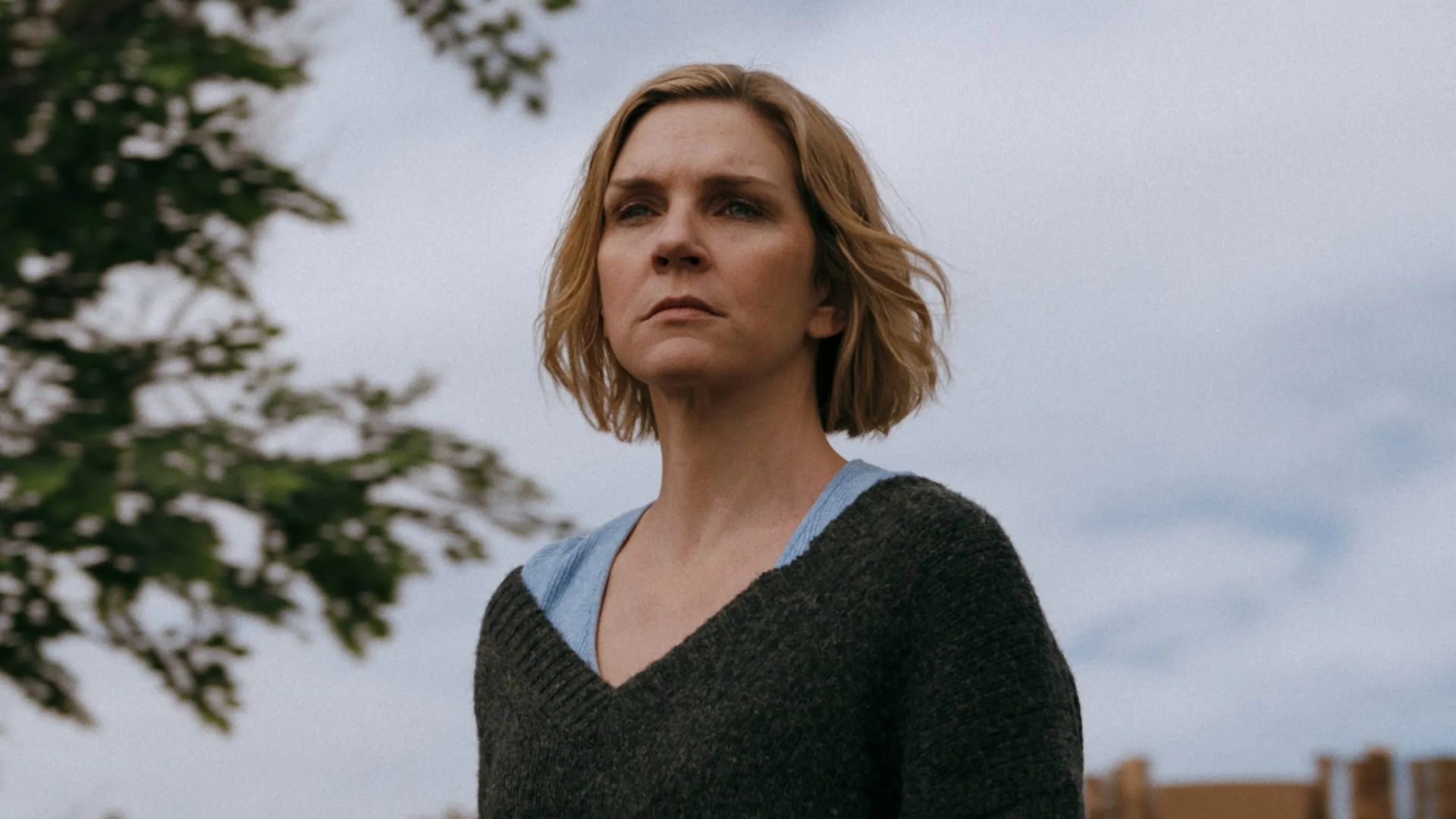 Рэй Сихорн с короткой стрижкой напряженно смотрит вдаль, на фоне небо и забор