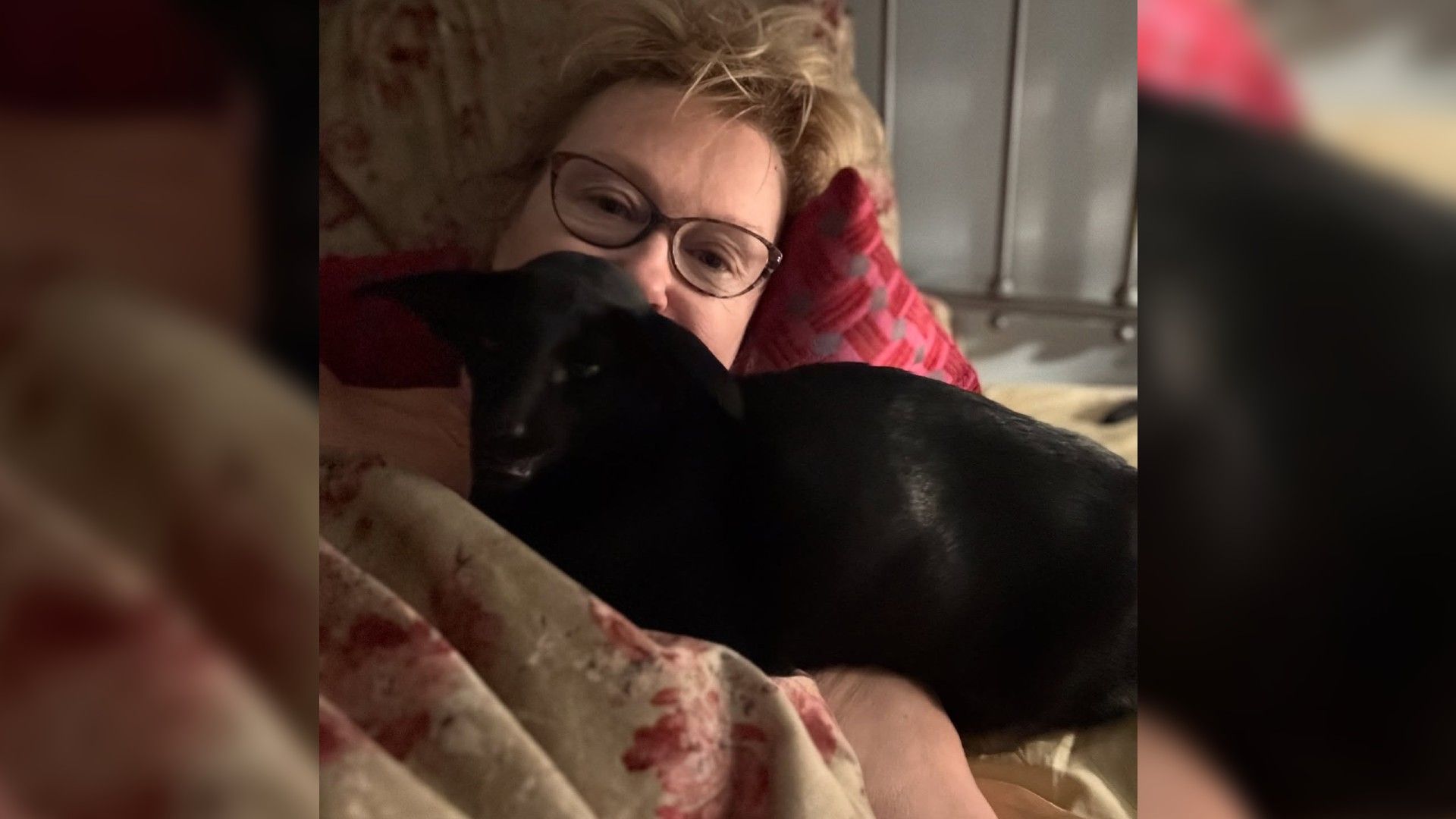 Ирина Розанова лежит в постели под одеялом, на ней лежит черный кот