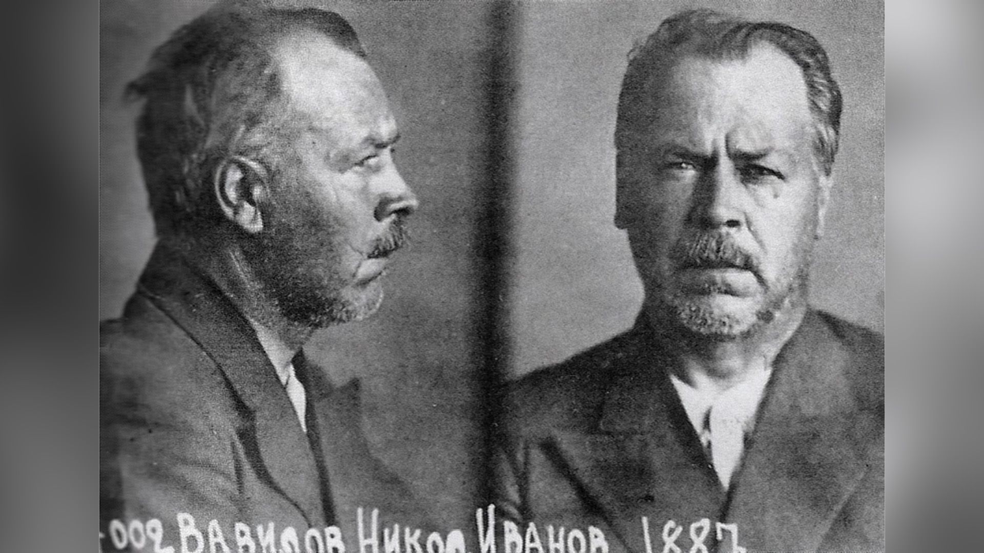 Тюремное фото Николая Вавилова: в профиль и в фас