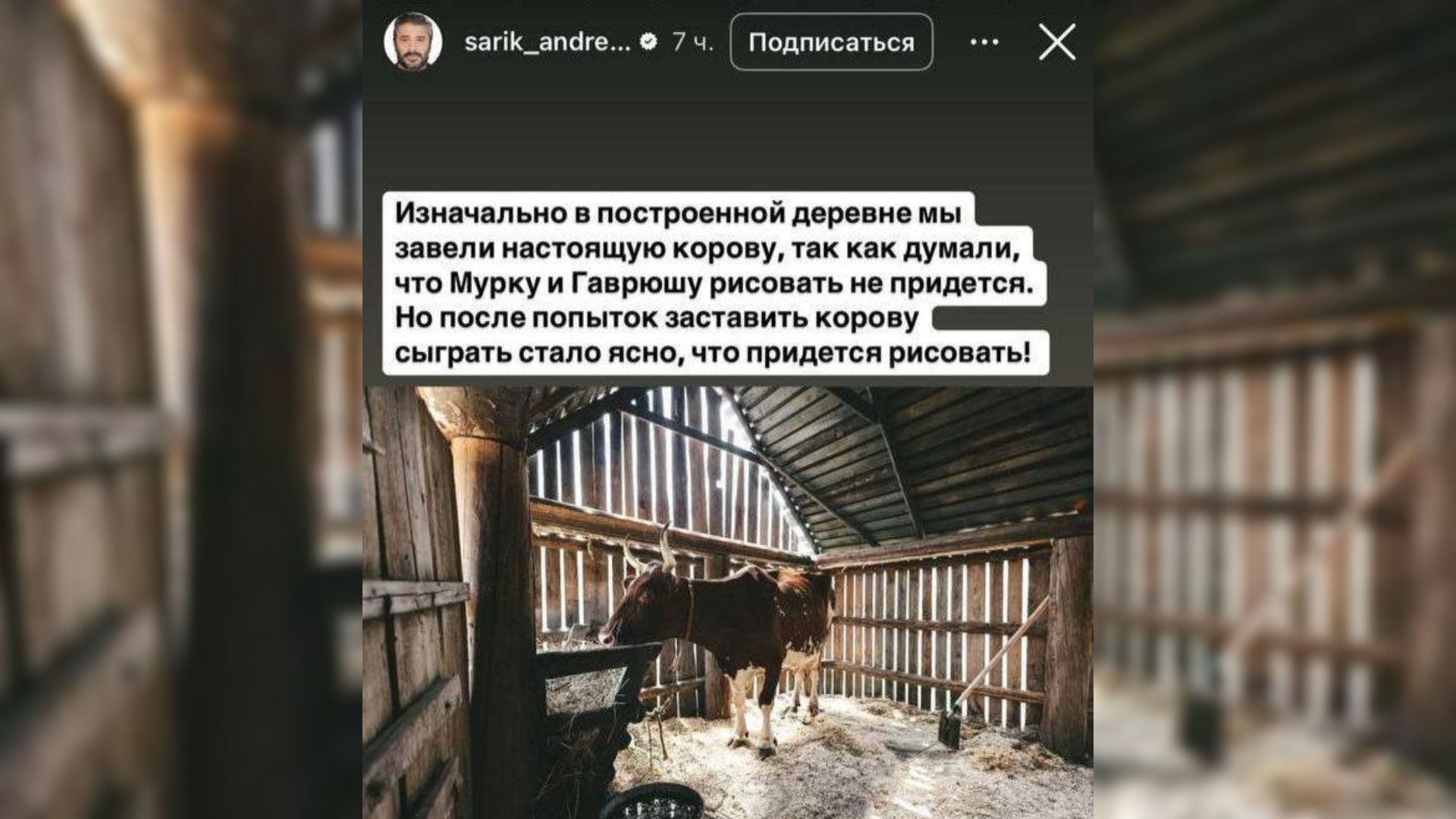 Скриншот режиссера Сарика Андреасяна из его соцсетей, на котором корова стоит в загоне и на нее падает солнечный свет