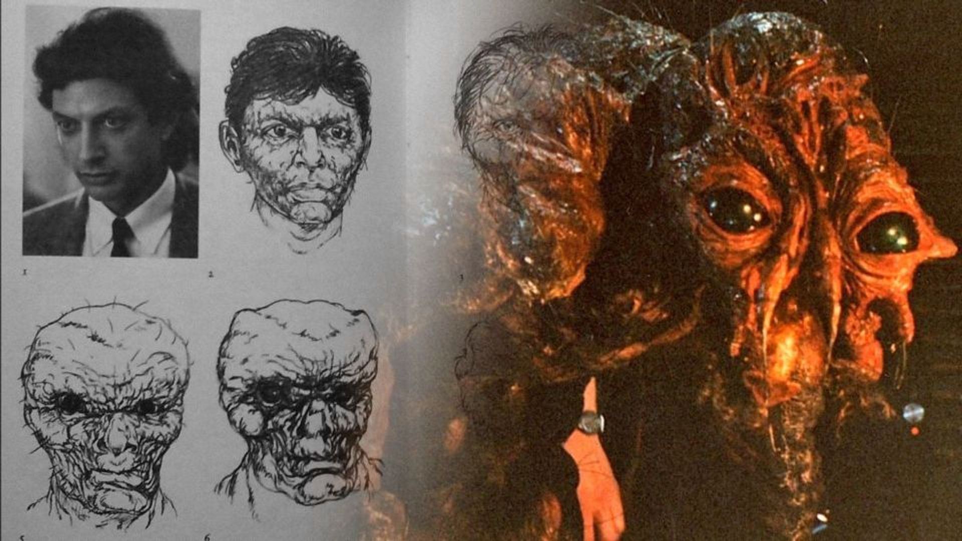 Фотография актера Джеффа Голдблюма и монстр в виде гигантской мухи