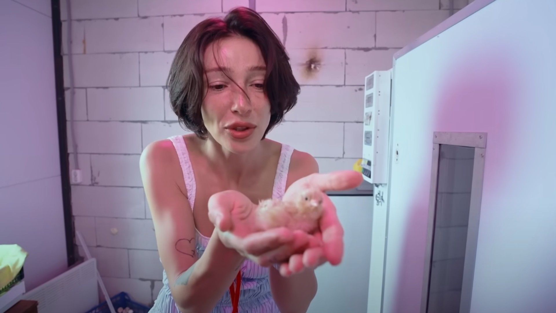 За что хвалят «Чегеря», новое YouTube-шоу Насти Ивлеевой о жизни в деревне?