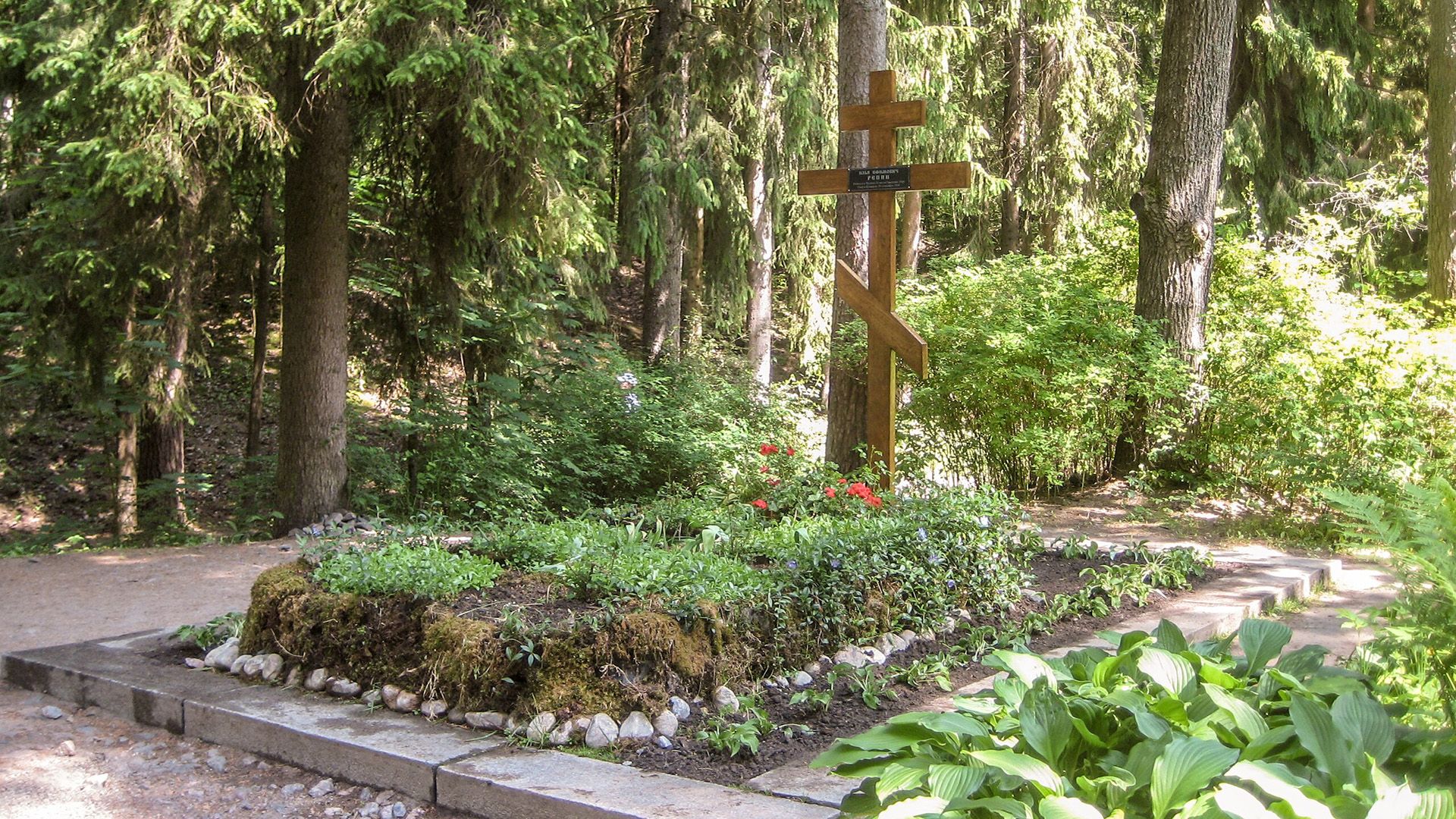 Могила Ильи Репина с деревянным крестом в окружении сосен и зелени