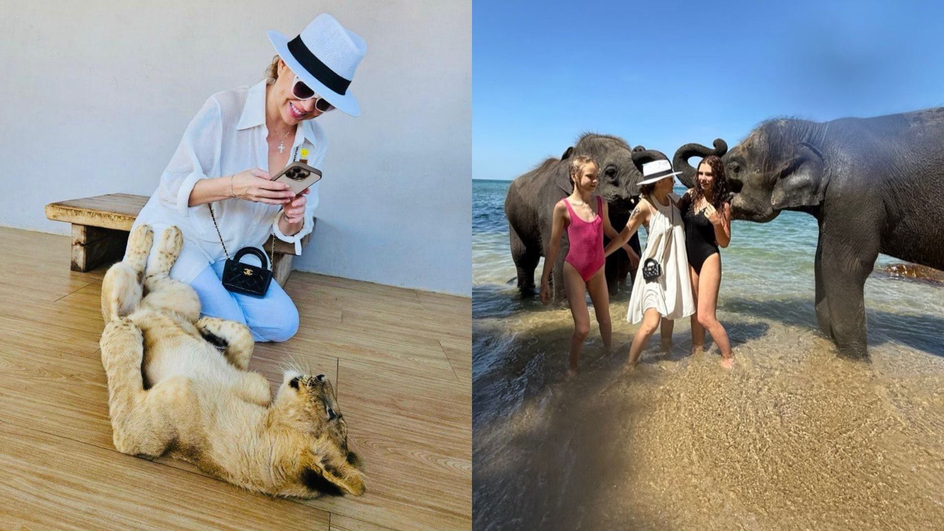 Женщина в белой шляпе с тигром, две девочки и женщина со слонами