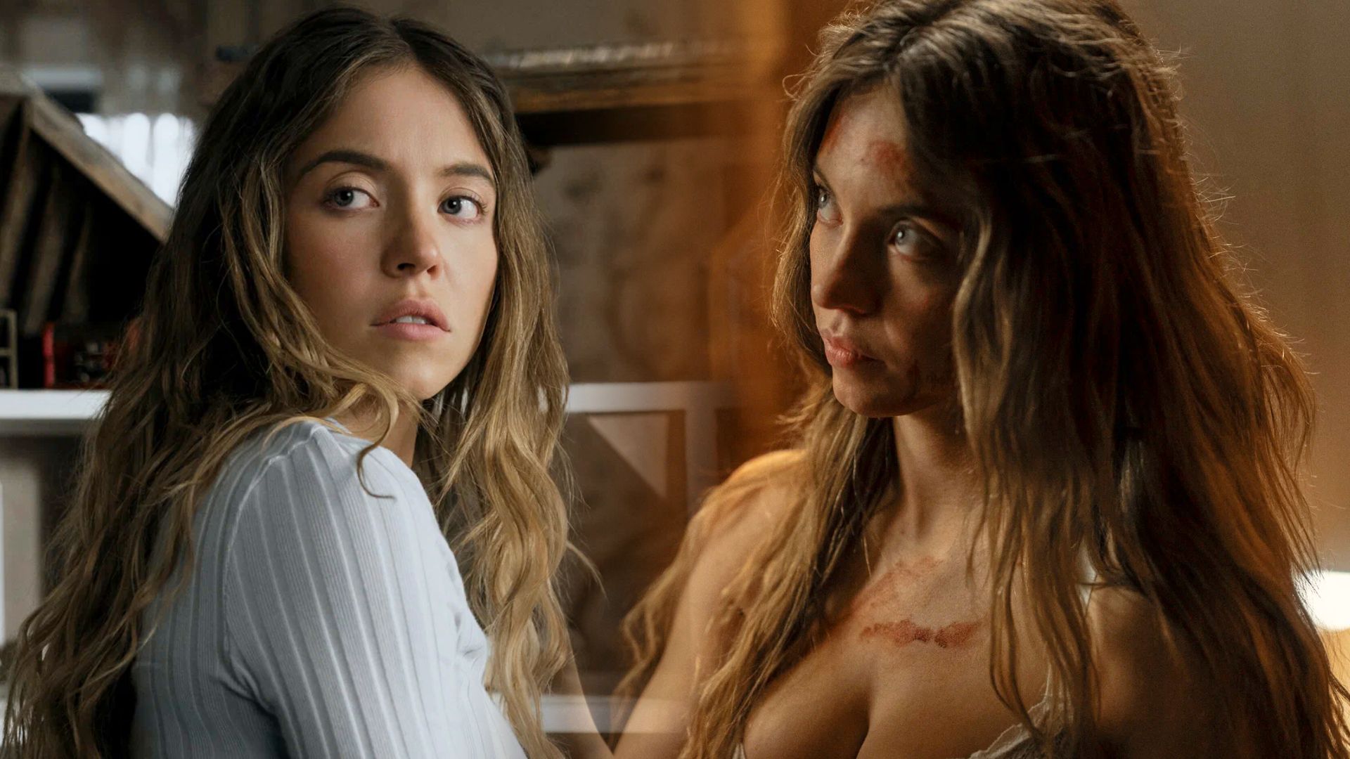 Спасибо откровенным сценам: "Горничная" стала самым кассовым фильмом Сидни Суини