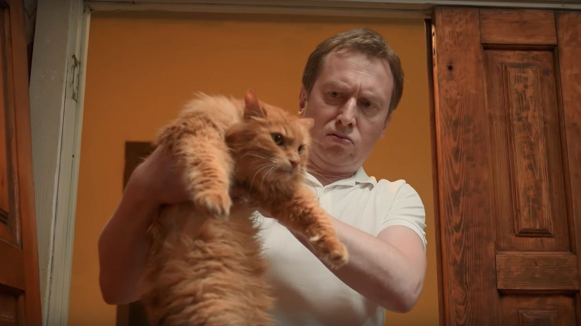 Михаил Трухин и рыжий кот в сериле "Котострофа"