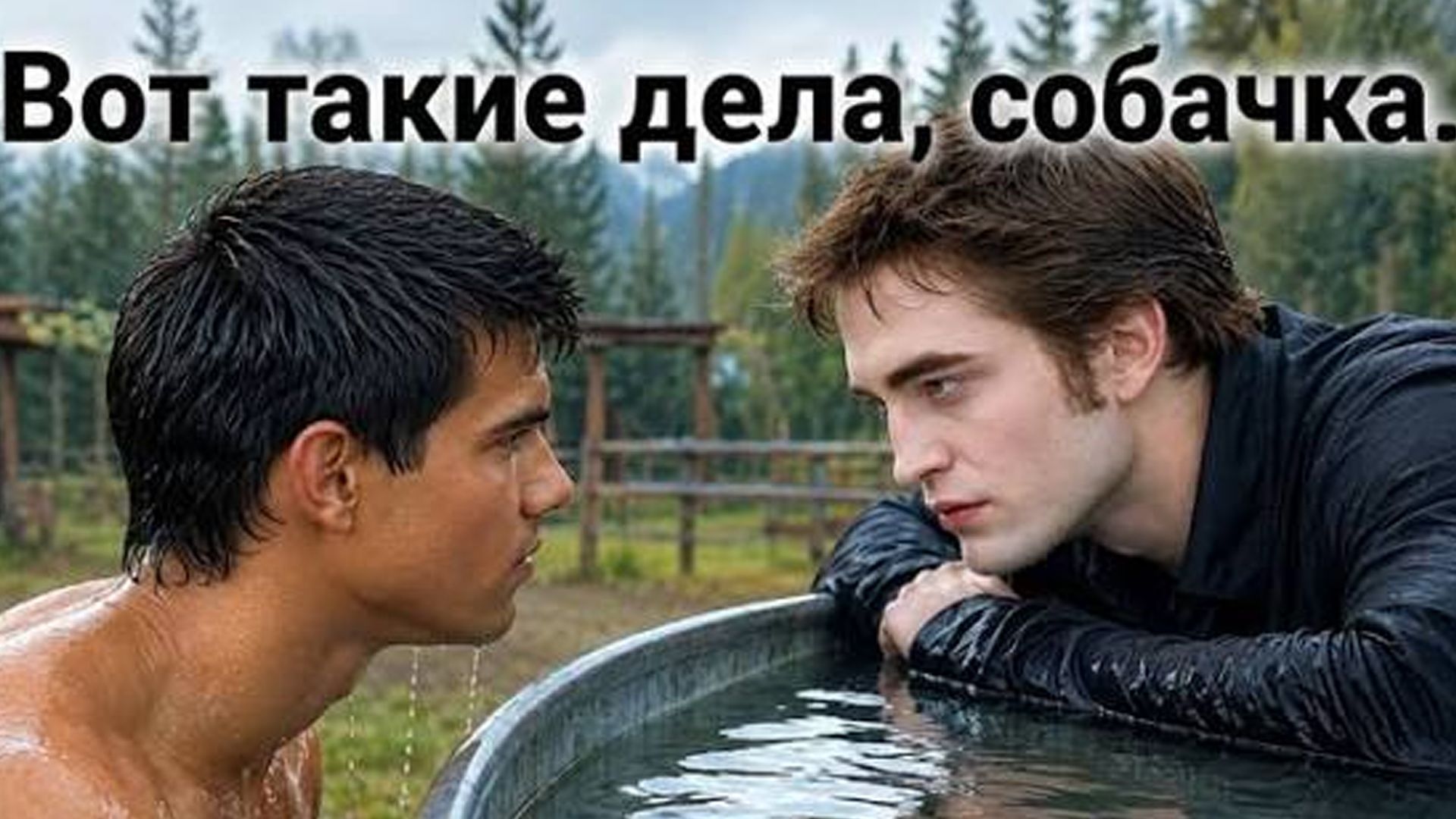 Вот такие дела собачка Сумерки