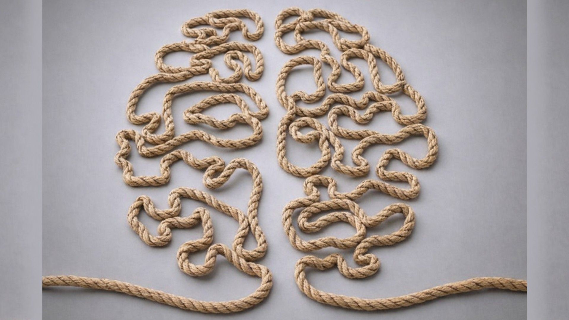 Как сохранить ясность мышления и память до глубокой старости?