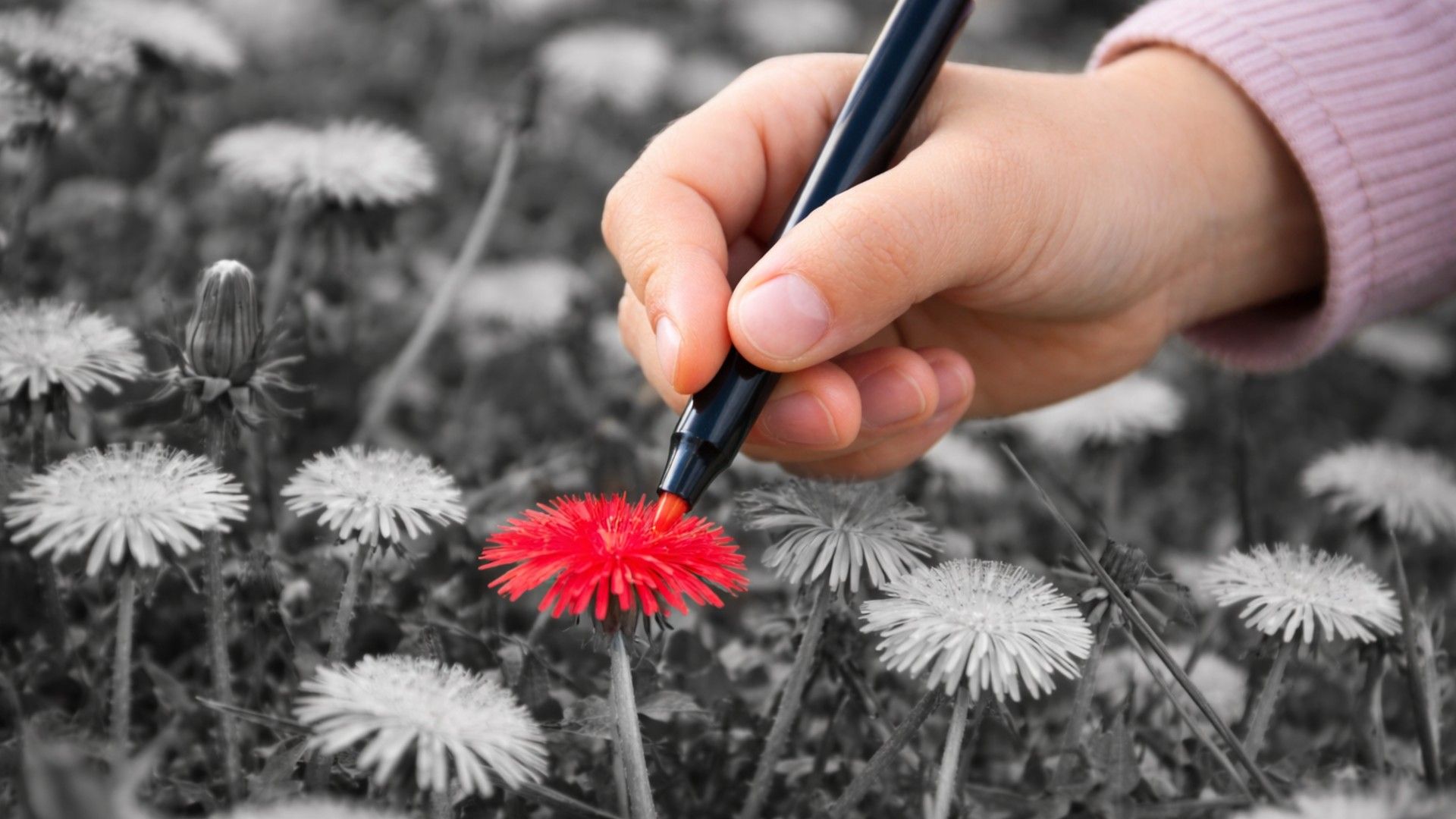 Не загоняйте ребенка в алгоритм с двумя вариантами ответов