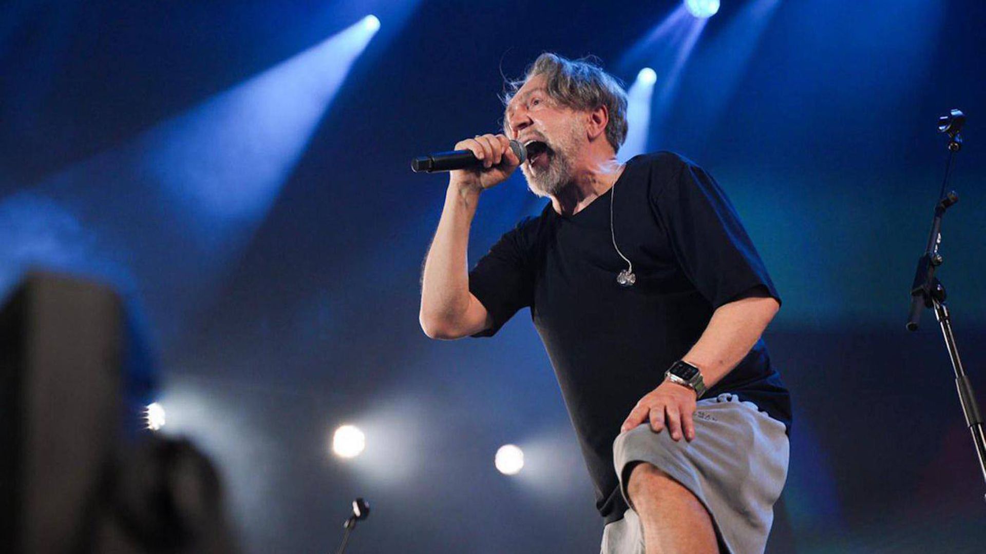 Певец Сергей Шнуров на сцене