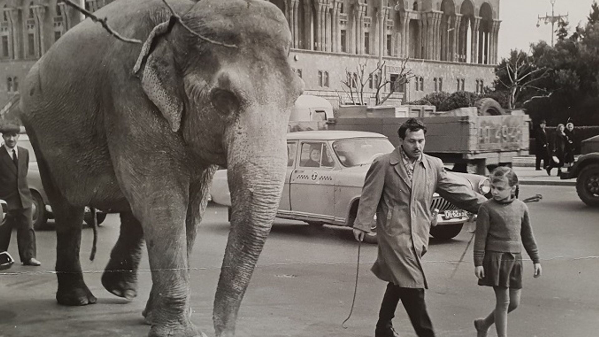 Тереза Дурова фото 2