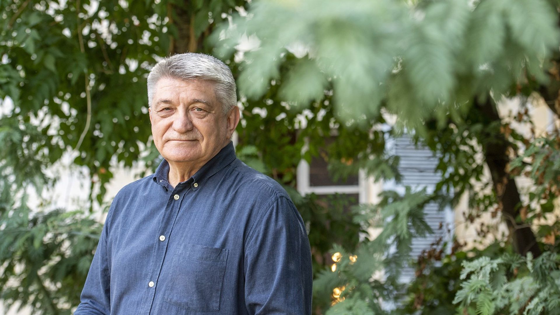 Александру Сокурову не вручили обещанную награду ММКФ «За вклад в кинематограф»