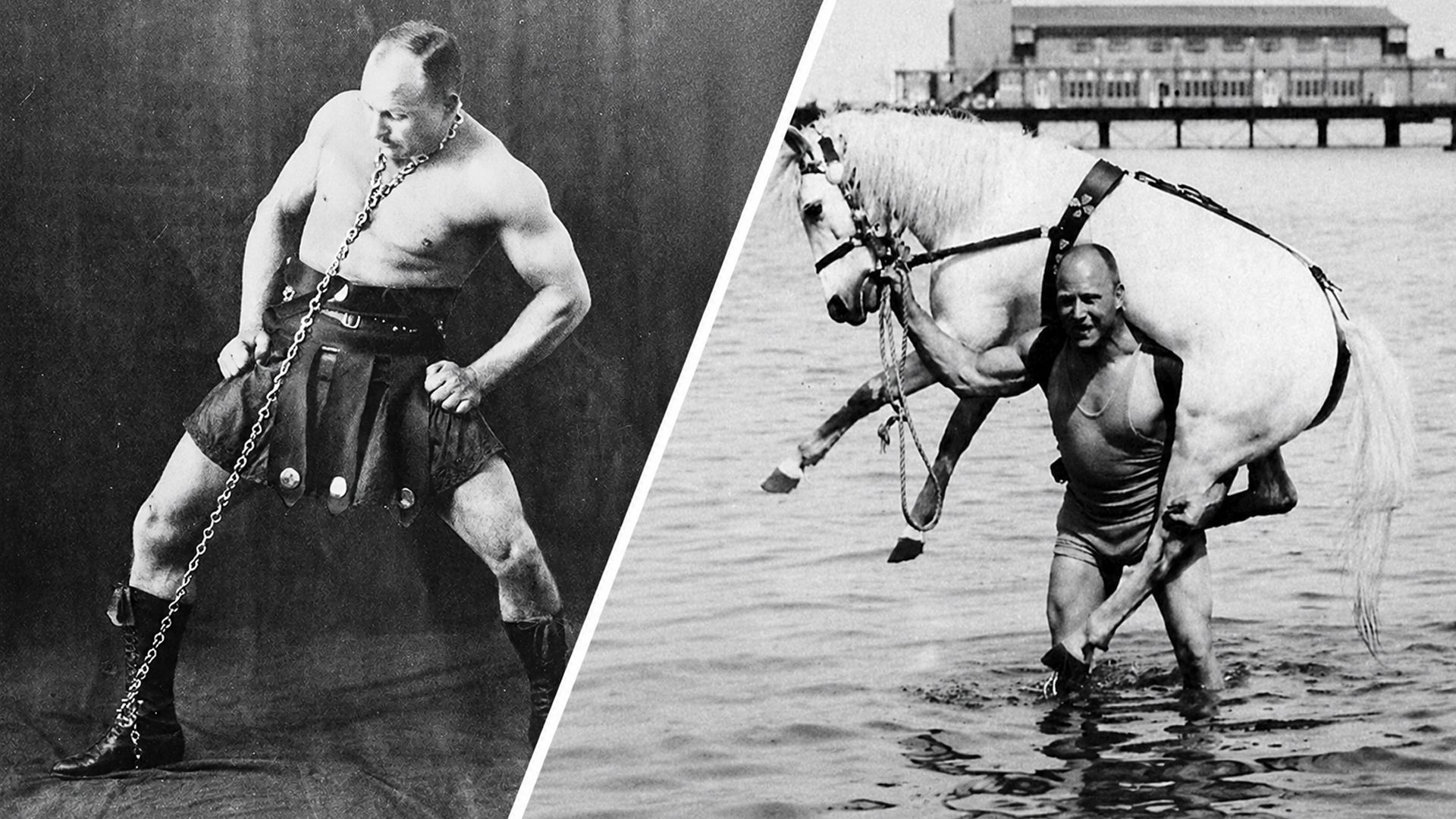 Александр Засс