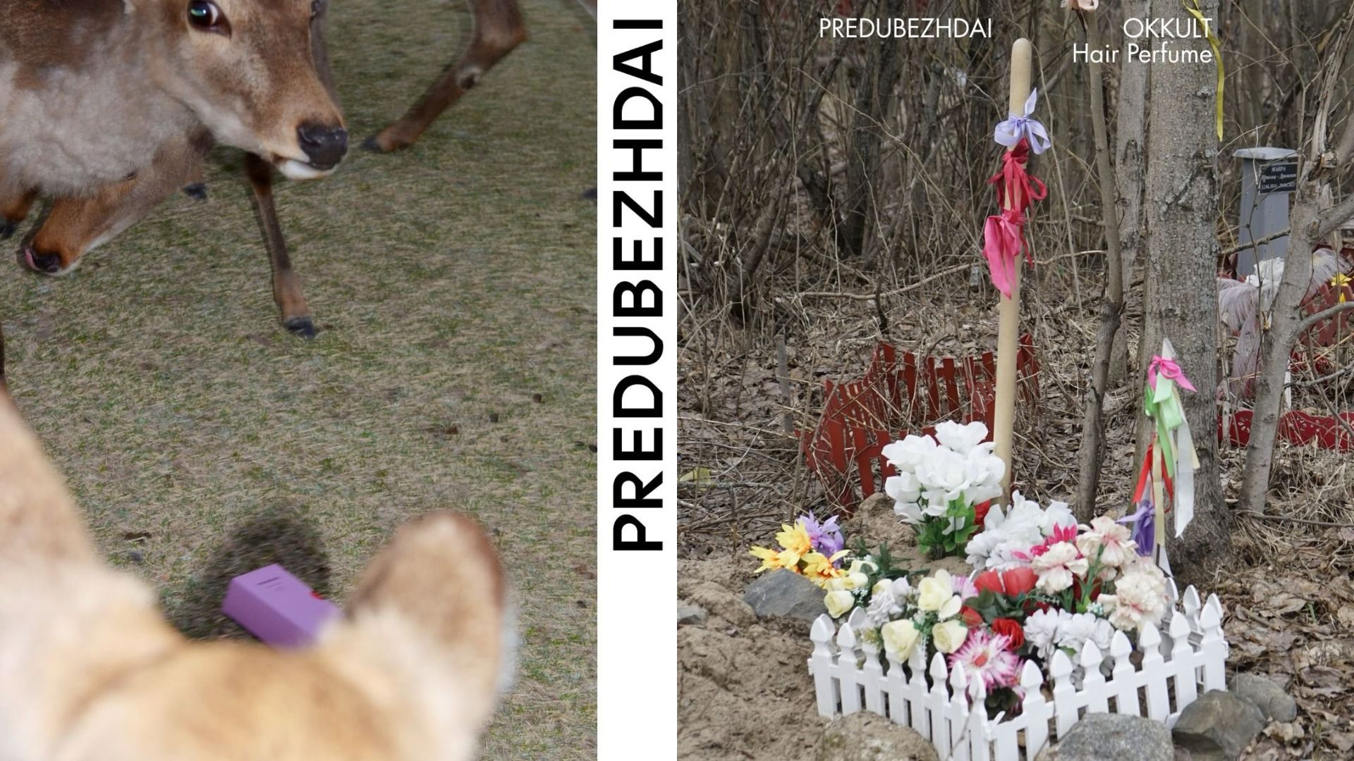 Фотосессия бренда "Predubezhdai"