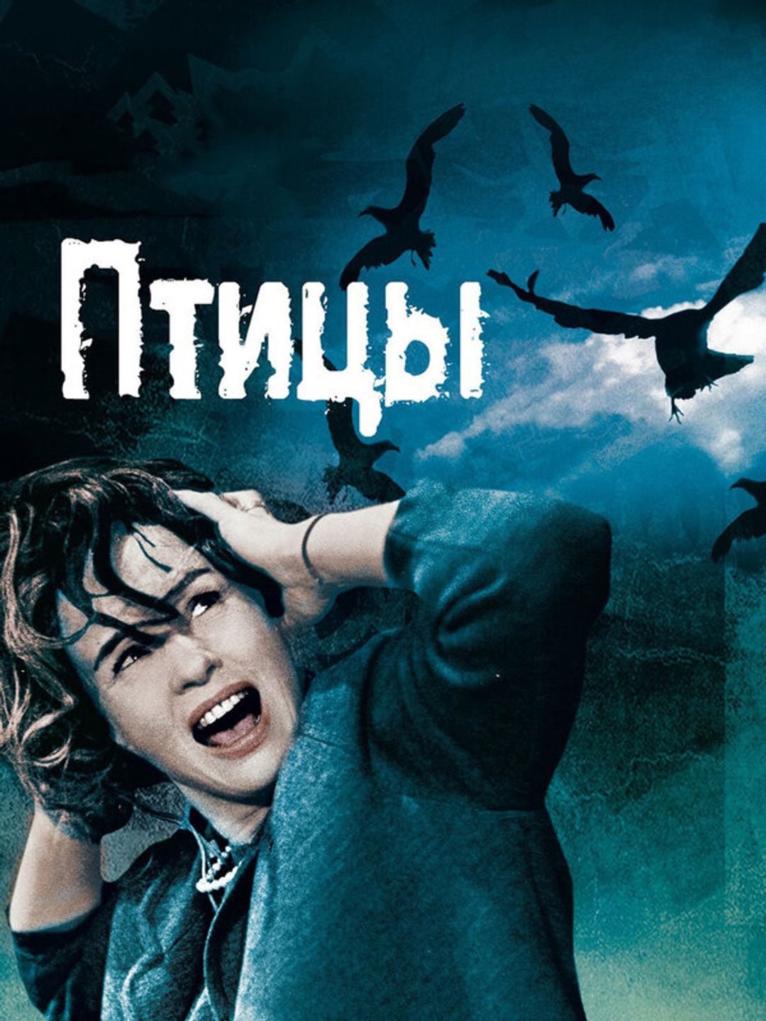 Птицы