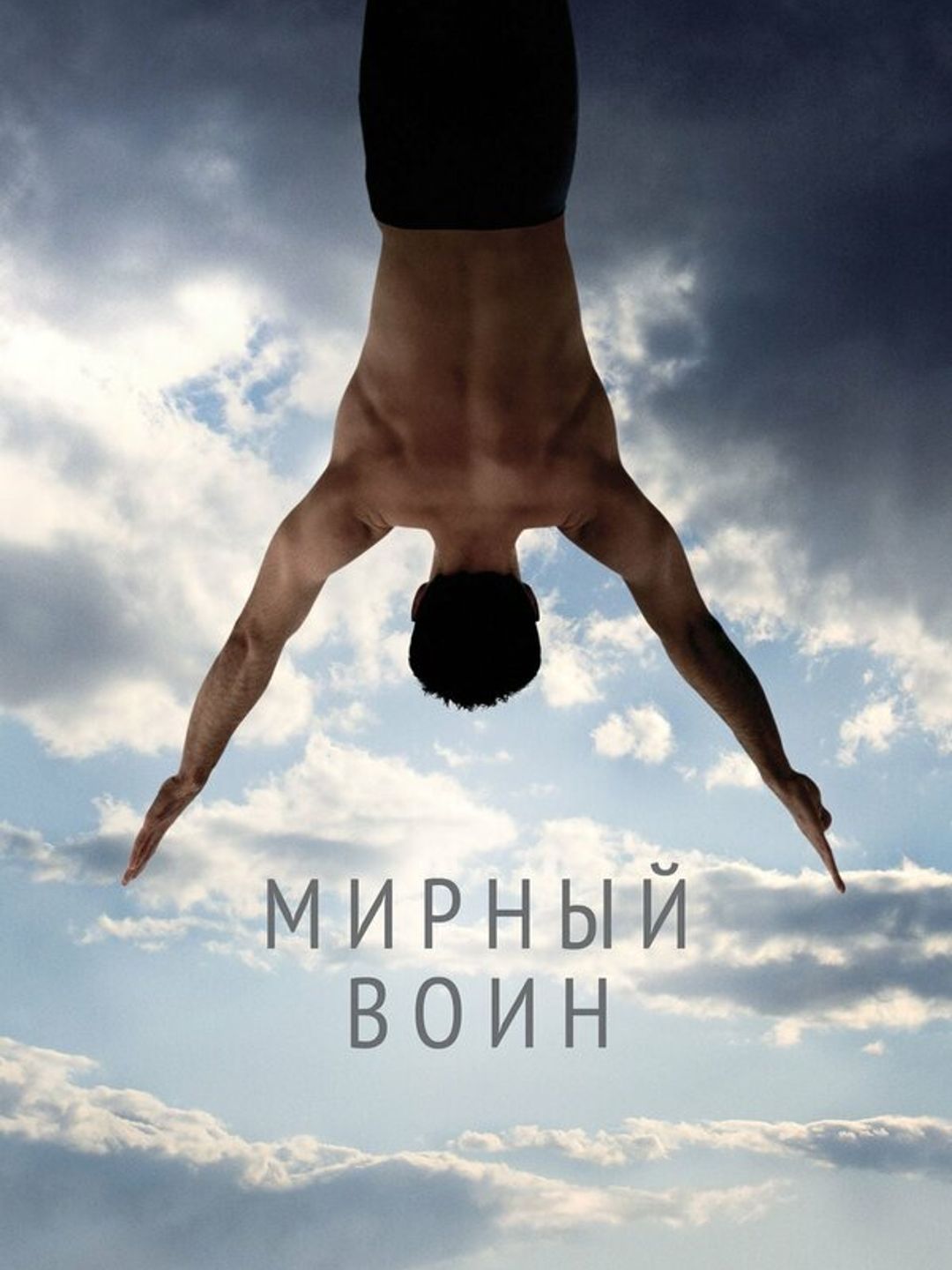 Мирный воин