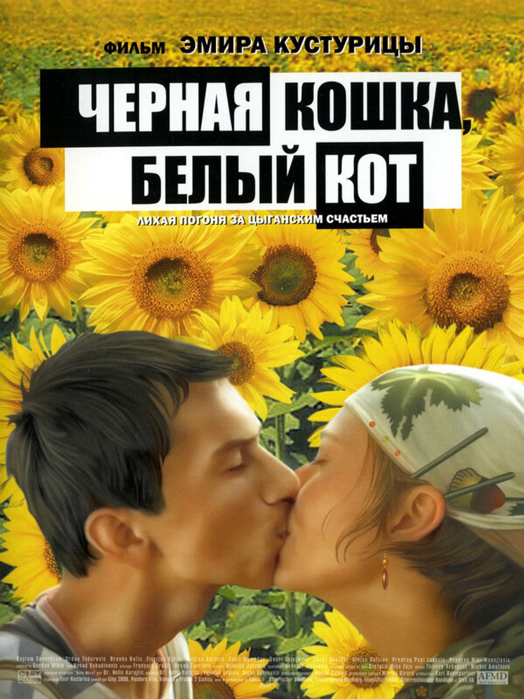 Черная кошка, белый кот