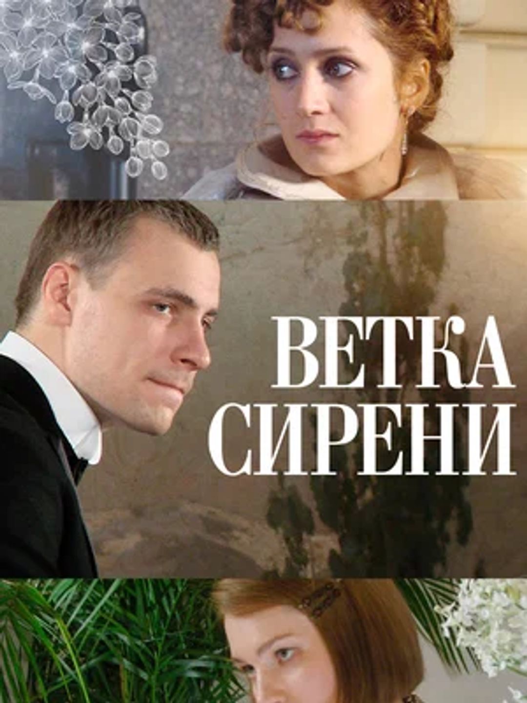 Ветка сирени