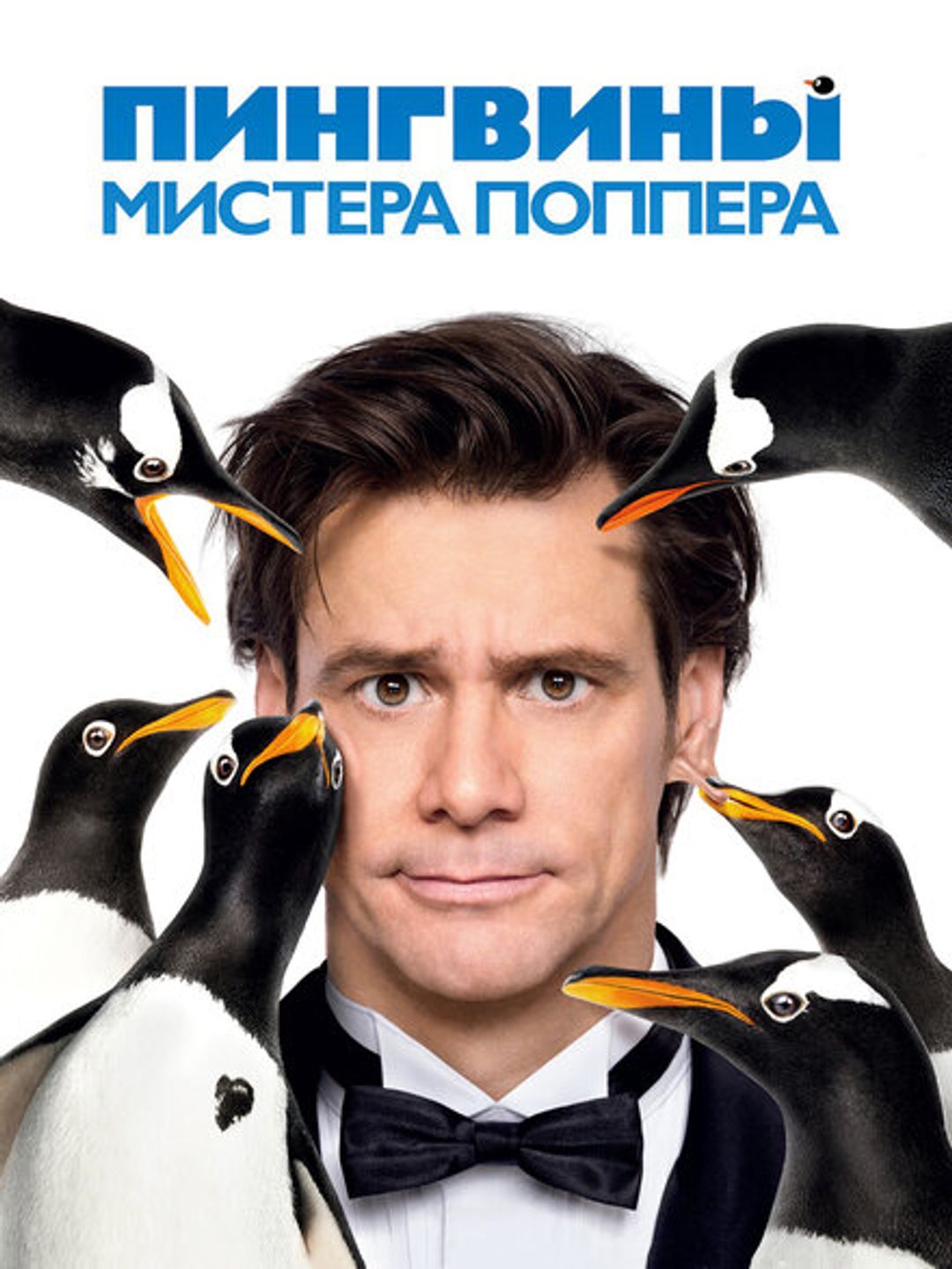 Пингвины мистера Поппера