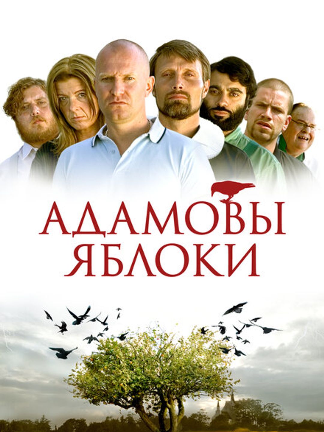 Адамовы яблоки