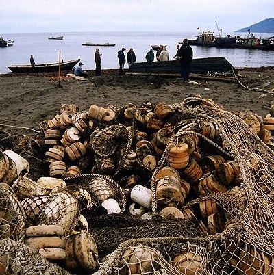 Южным Курилам необходимо активное экономическое развитие
