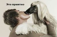 Иногда реклама смешит