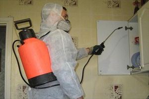 Специалисты могут легко избавить от клопов