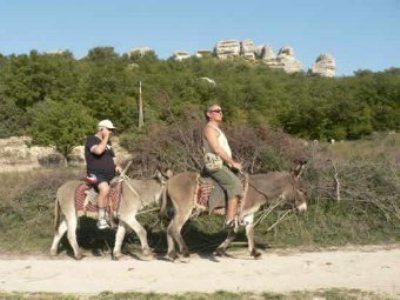 Фото в социальную сеть, не слезая с осла Фото в социальную сеть, не слезая с осла