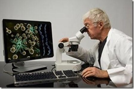 Дети будут рождаться от трех родителей Дети будут рождаться от трех родителей