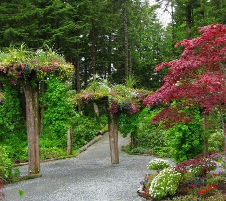 Последствия оползня оказались очень красивыми