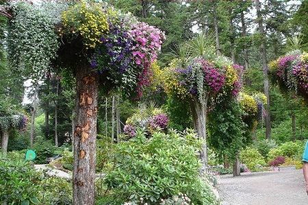 Человек творит красоту вместе с природой